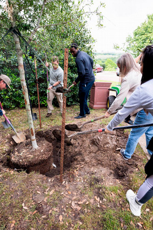 Students planting young trees during campus ceremony