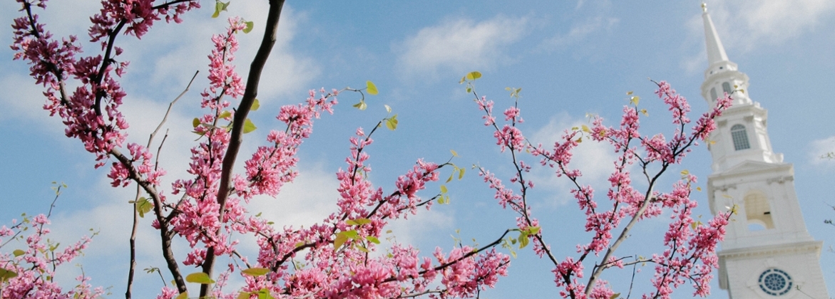 campus picture - spring classes