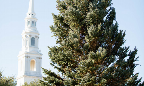 christmas tree with DBU chapel in the backgroud