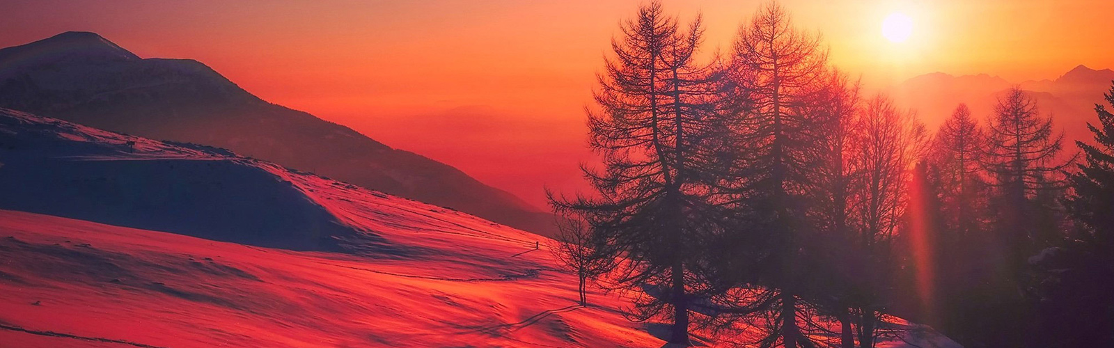 sunny sky with trees and mountains