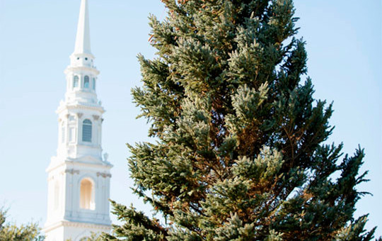 christmas tree with DBU Chapel in the background