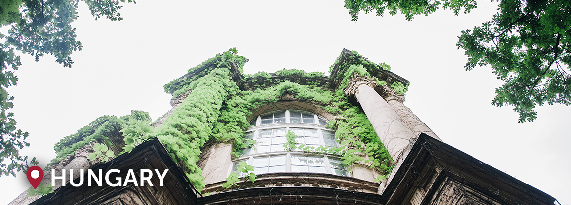 an upward angle of a historic building in Hungary covered by trees