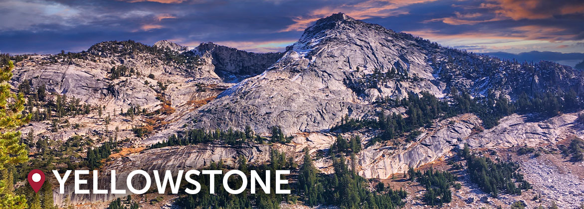 mountains and forest in yellowstone