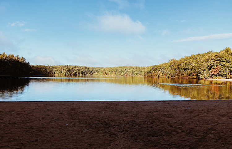 AA large pond with beach in Massachusets