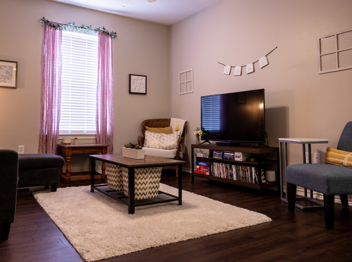 Apartment Living Room in Dallas