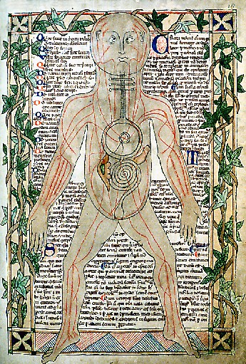 medieval anatomical painting
