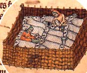 Medieval sheep farming