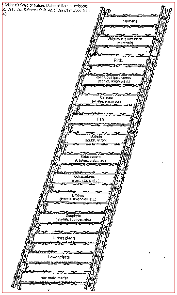 drawing of the Great Chain of Being