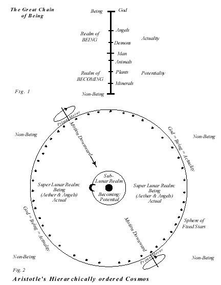 Aristotles version of the Great Chain of Being