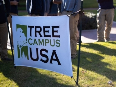 Tree Campus USA logo