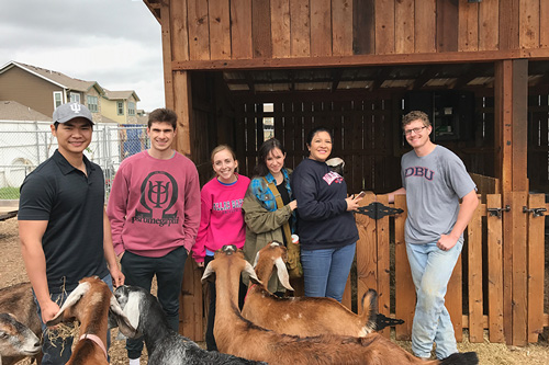 DBU Students serving alongside Bonton Farms