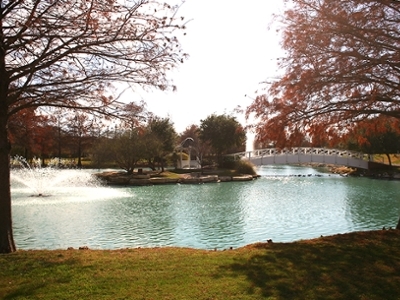 Autumn Cypress trees frame bush pond as their leaves turn to orange