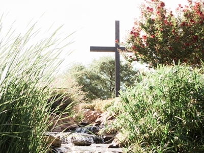 The cross on University Hill hiding behind rose bushes and the stream