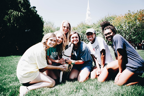 A group of six girls posing with a white dog outside on the grass on the Quad