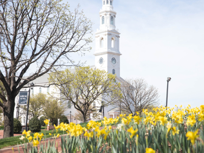 Spring Campus Beauty Shot - yellow tulips - looking up at the chapel