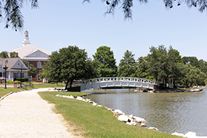 Trees on the DBU campus during in the summertime, in Dallas, Texas
