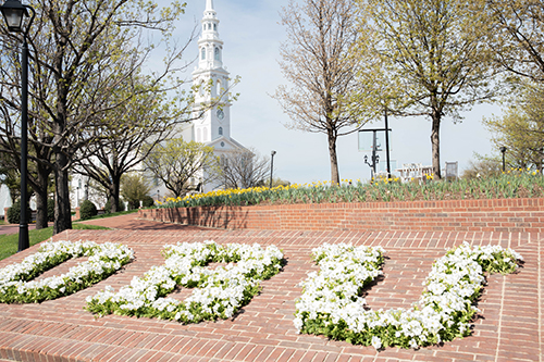 flowers in the shape of the letters D B U