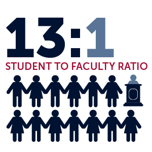 13 to 1 student to faculty ratio