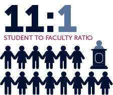 11:1 student to faculty ratio